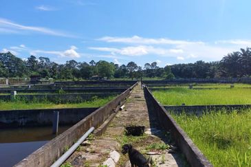 Taman Desa Cemerlang