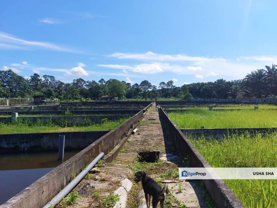 Taman Desa Cemerlang, Desa Cemerlang - Fish Ponds Land For Sale, Johor, Ulu Tiram