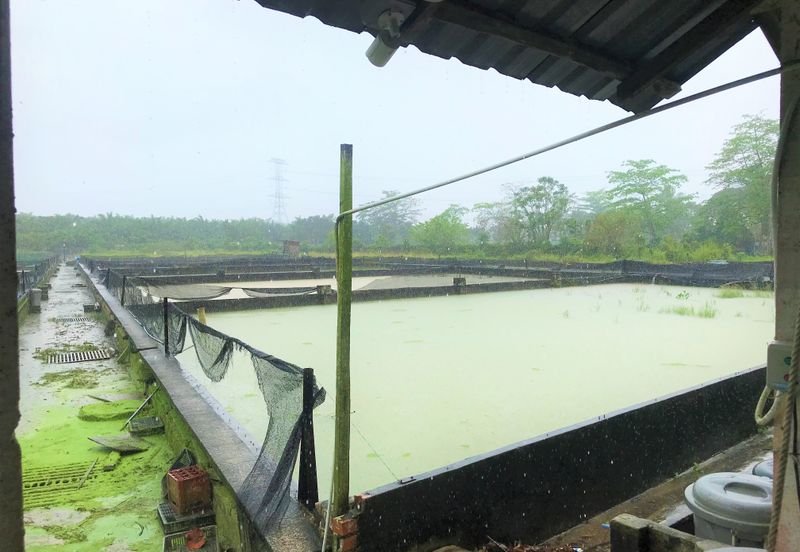 Taman Desa Cemerlang