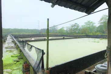 Taman Desa Cemerlang