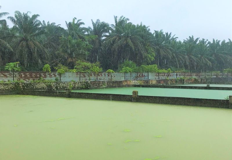 Taman Desa Cemerlang