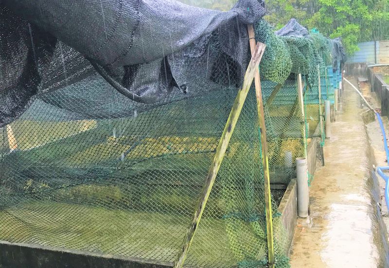 Taman Desa Cemerlang