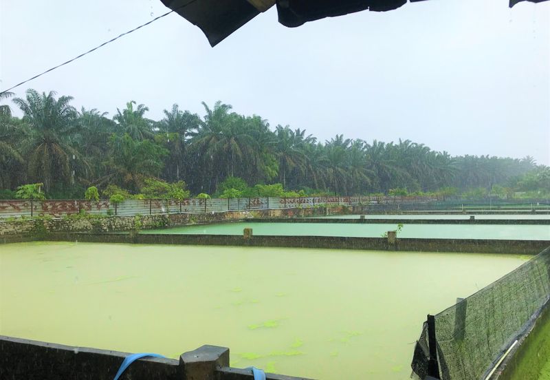 Taman Desa Cemerlang