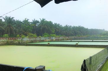 Taman Desa Cemerlang