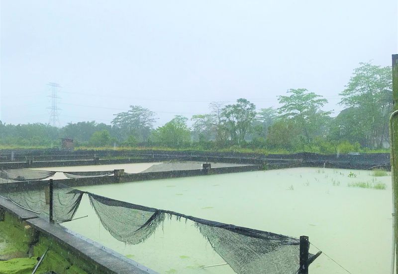 Taman Desa Cemerlang