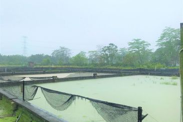 Taman Desa Cemerlang