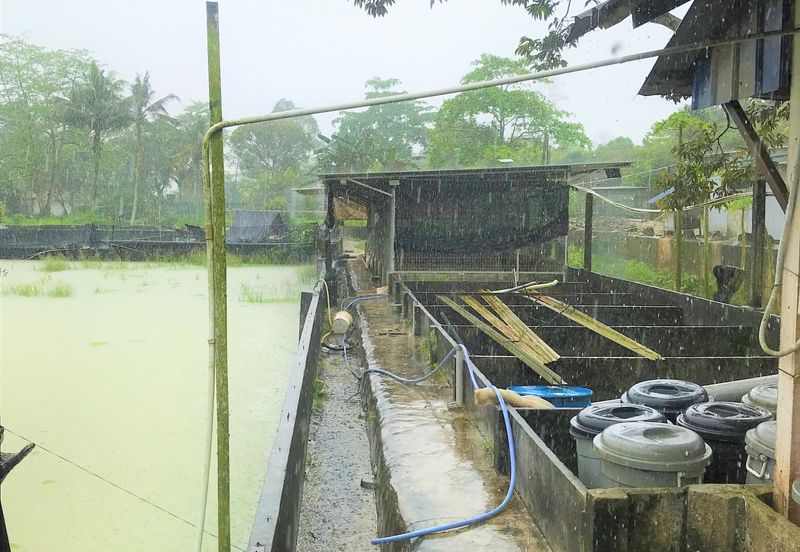 Taman Desa Cemerlang