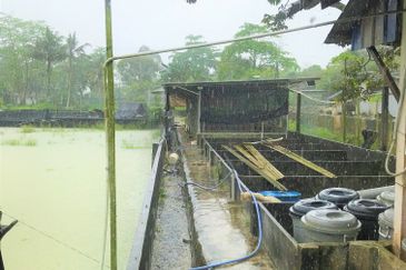 Taman Desa Cemerlang