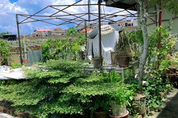 Jalan Kampung Aman @ Paloh Kluang Single storey for sale 