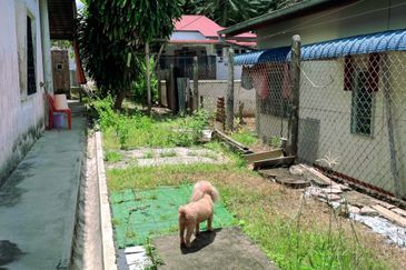 Jalan Kampung Aman @ Paloh Kluang Single storey for sale 