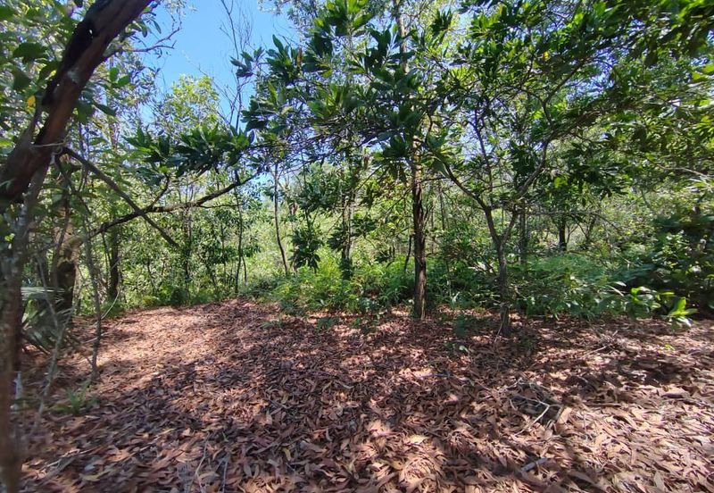 Nilai Converted Freehold Industrial Land For Sale