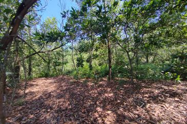 Nilai Converted Freehold Industrial Land For Sale