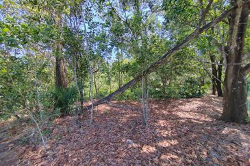 Nilai Converted Freehold Industrial Land For Sale