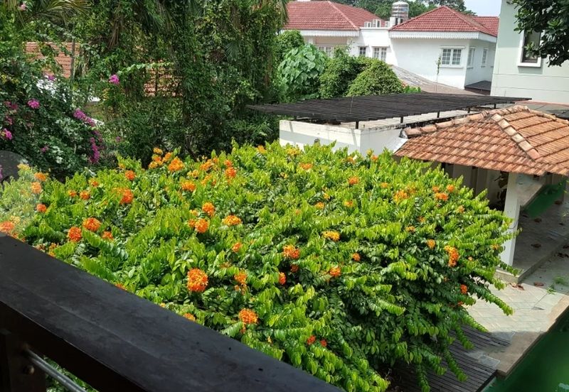 Lorong Lai Tet Loke 1 