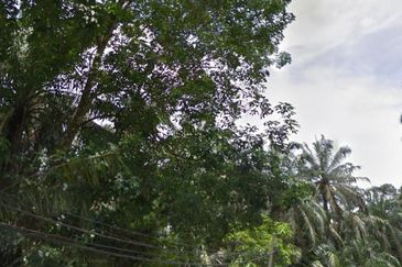 Sungia lalang Agriculture land for sales. Semenyih, Balakong. Selangor