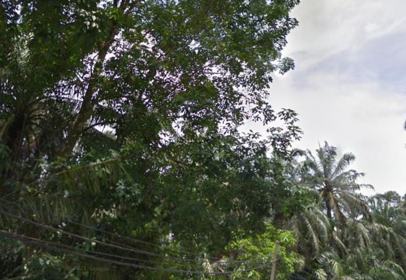 Sungia lalang Agriculture land for sales. Semenyih, Balakong. Selangor