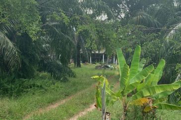 Kampung Sungai Sembilang Agricultural Land for sales