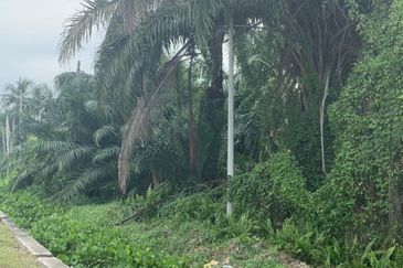 Kampung Sungai Sembilang Agricultural Land for sales