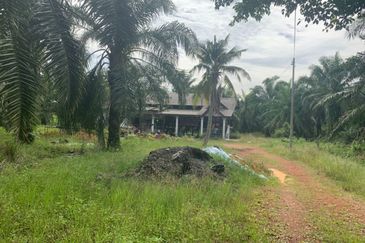 Kampung Sungai Sembilang Agricultural Land for sales