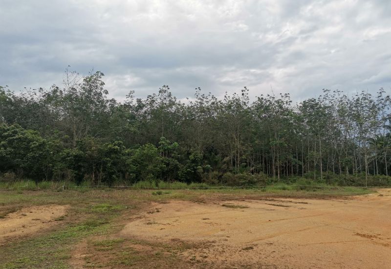 Agricultural Land in Sungai Lalang for SALES! Semenyih, Kajang, Cheras, Balakong. Selangor.