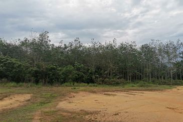 Agricultural Land in Sungai Lalang for SALES! Semenyih, Kajang, Cheras, Balakong. Selangor.
