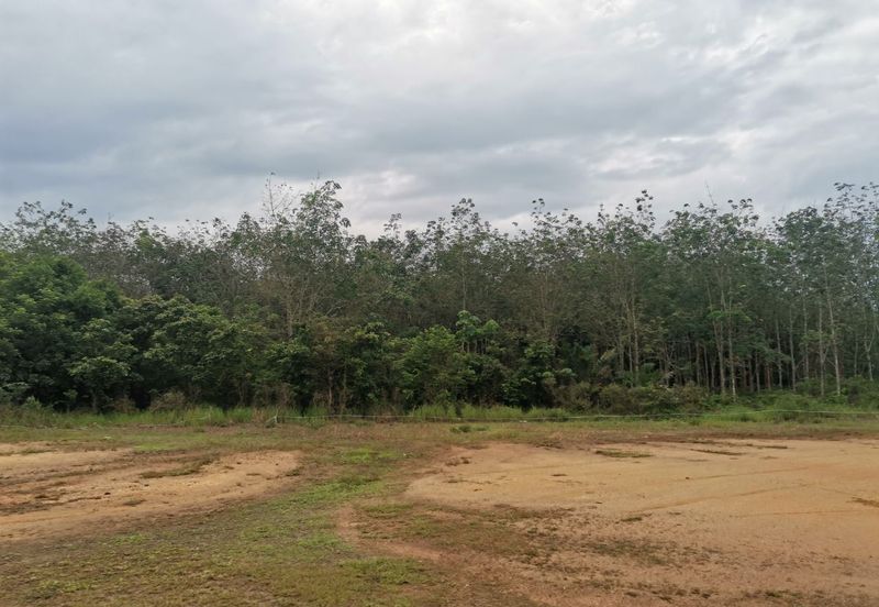 Agricultural Land in Sungai Lalang for SALES! Semenyih, Kajang, Cheras, Balakong. Selangor.