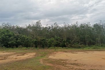 Agricultural Land in Sungai Lalang for SALES! Semenyih, Kajang, Cheras, Balakong. Selangor.