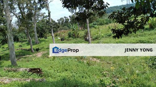 Broga Hill land for Sales!! Kampung Broga, Villa Broga. Broga Orchard Hill, Semenyih., Selangor, Semenyih