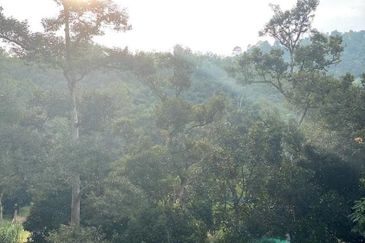 AGRICULTURE DURIAN LAND for SALES in Hulu Langat, Kampung Hulu Langat, Semenyih, Selangor.