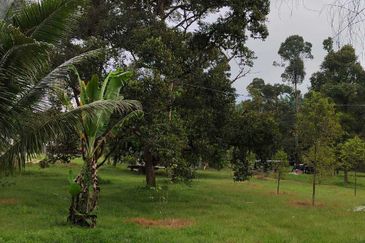 Agricultural Land in Kerling for SALES! Kampung Kerling. Selangor.