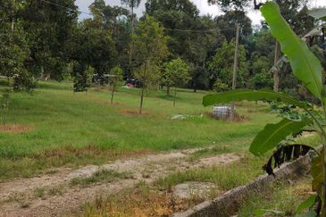 Agricultural Land in Kerling for SALES! Kampung Kerling. Selangor.