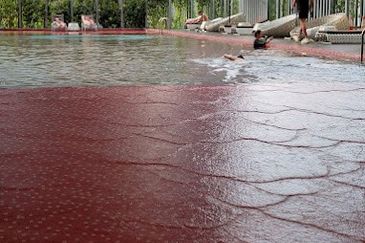 Sixceylon Condominium