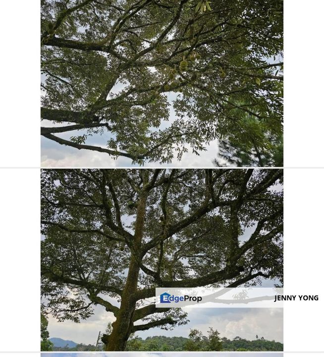 Hulu Langat Sungai Makau, Selangor, Hulu Langat