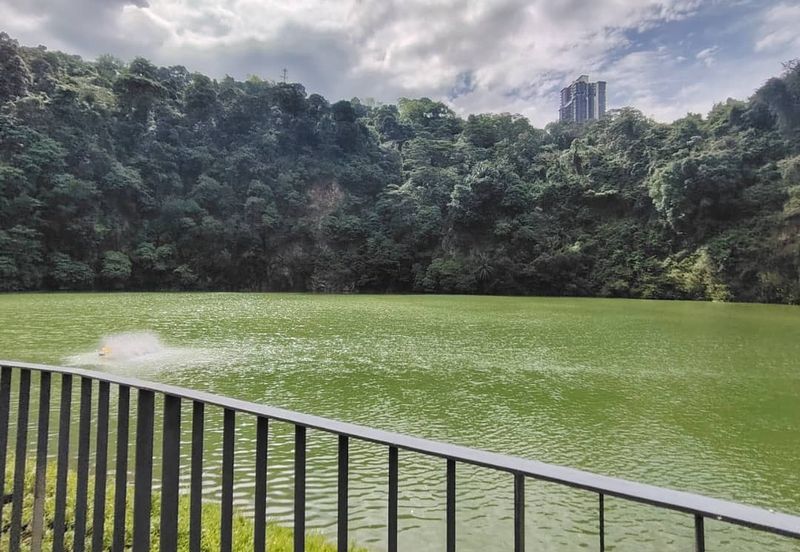 ForestHill Residences