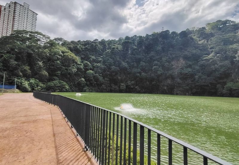 ForestHill Residences