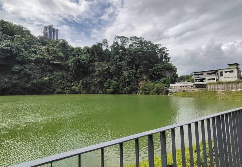 Freesia Residences, Damansara Perdana