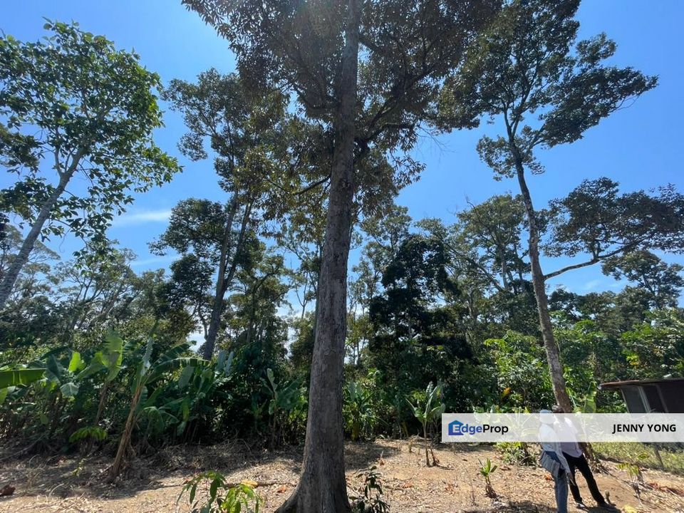 Broga Hill land for Sales!! Kampung Tarun  Broga, Villa Broga. Broga Orchard Hill, Semenyih., Negeri Sembilan, Seremban