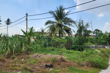 Kampung Rantau Panjang, Kapar