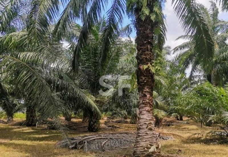 Telok Panglima Garang