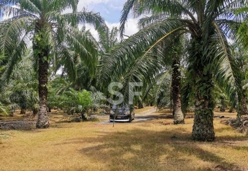 Telok Panglima Garang