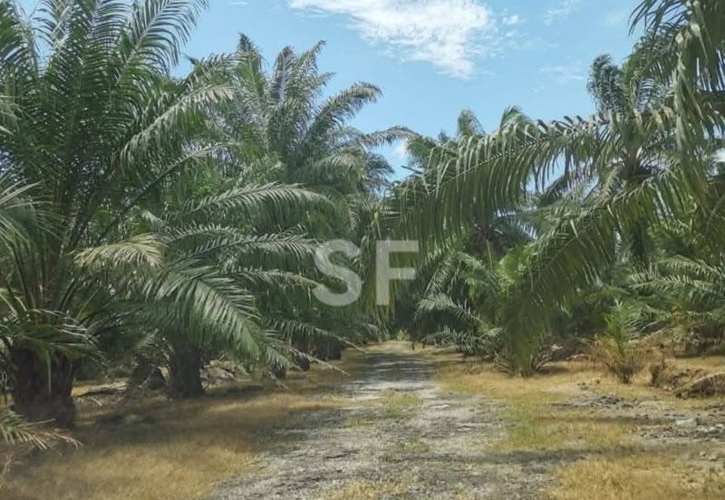 Telok Panglima Garang