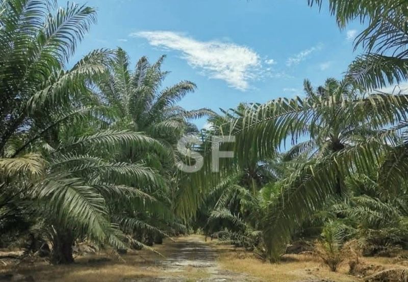 Telok Panglima Garang