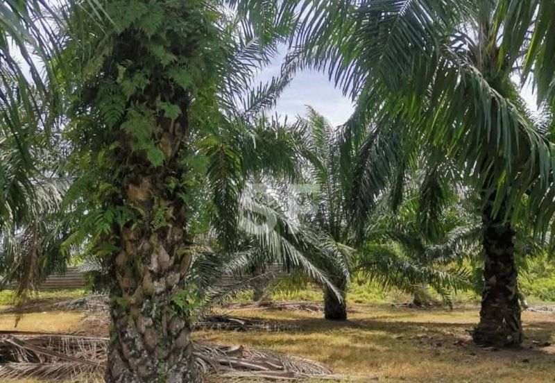 Telok Panglima Garang