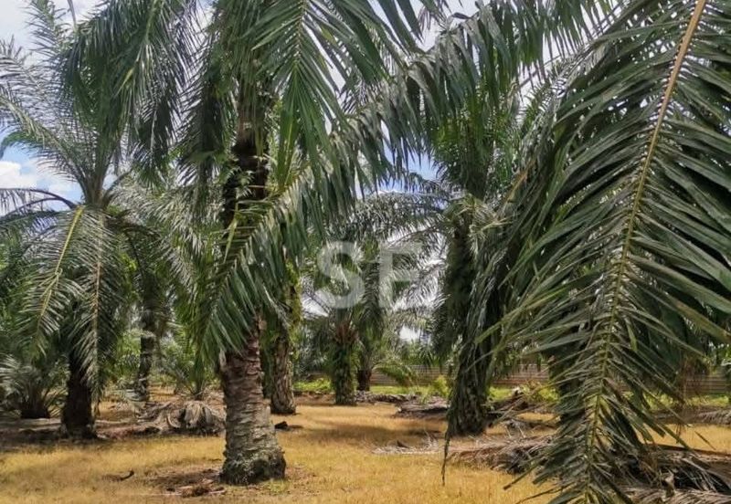 Telok Panglima Garang