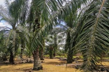 Telok Panglima Garang