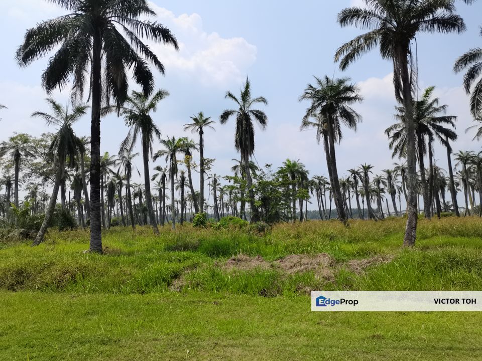 Jalan Johan Setia Sijangkang Klang land for sale, Selangor, Klang