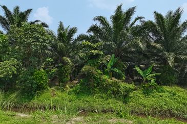 Bandar Sungai Petani