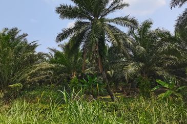 Bandar Sungai Petani