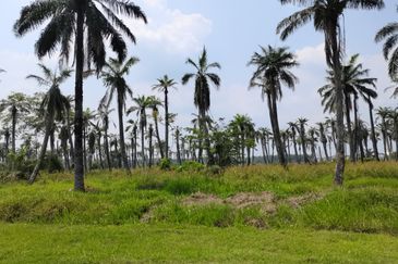 Bandar Sungai Petani