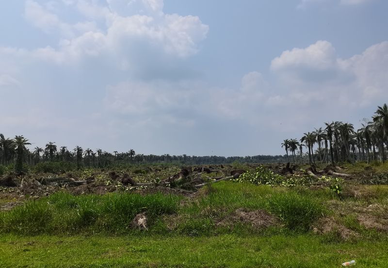 Bandar Sungai Petani